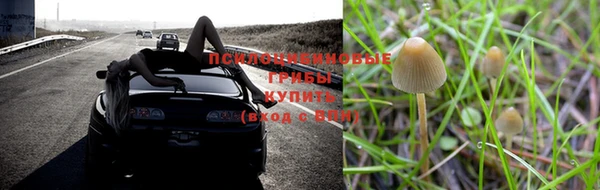 шишки Абдулино