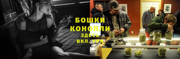 шишки Абдулино