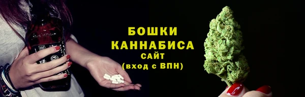 прущий лед Инсар