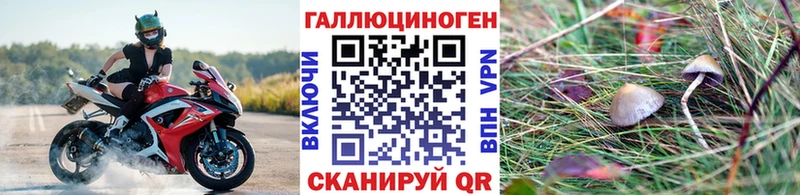 Галлюциногенные грибы MAGIC MUSHROOMS  OMG как зайти  Донской 